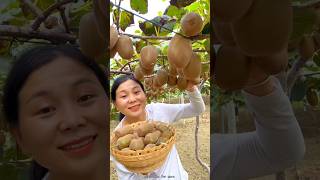 Beautiful Landscape of Fruit Farm  Delicious Kiwi 🥝🥝 Fruits shorts fruit youtubeshorts [upl. by Notnert342]