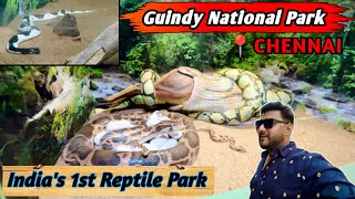 Guindy National Park Chennai  Indias First Reptile Park Chennai  Snake park Chennai [upl. by Sosna]