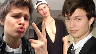 7 Times Ansel Elgort Made the Internet SWOON [upl. by Dahcir]