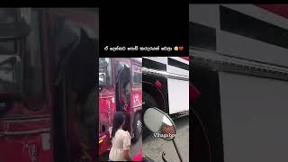 එයාල දෙන්නට පොඩි කරදරයක් වෙලා shorts 1m bus trending [upl. by Ki]