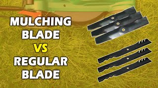 Mulching Blade vs Regular Blade A Comprehensive Comparison Which Reigns Supreme [upl. by Emmerie]