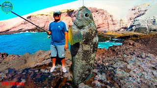 MIRA‼ Toda la variedad de peces que puedes pescar con esta carnada Pesca en peña con carnada kril [upl. by Araf]