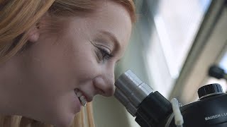 Undergraduate Research Studying How Cells Age [upl. by Kisor]