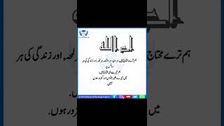 Ae Allah اے اللہ الله allah shorts [upl. by Syck47]