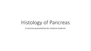 Pancreas  Histology [upl. by Llyrpa]