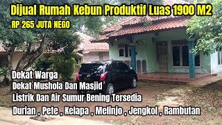 Dijual Rumah Kebun Produktif Luas 1900 Dekat Pemukiman Warga RP 265 Juta Nego [upl. by Nothgierc758]