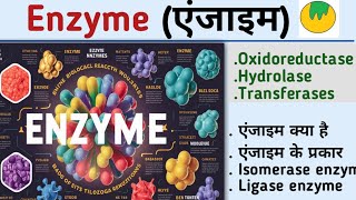 EnzymeएंजाइमEnzyme biochemistryenzyme in hindiOxidoreductaseHydrolasetransferaseKiran maurya [upl. by Akeenahs]