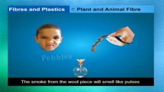 Synthetic fibres and plastics  Class 8th CBSE Chemistry  NCERT  CBSE Syllabus  Animated Video [upl. by Nocaj15]