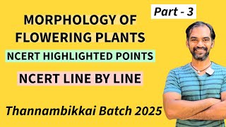 Morphology of Flowering Plants in Tamil  Part 3  TB 2025 [upl. by Berthold]