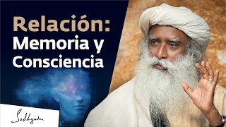 Memoria consciencia y coma Charla Completa Sadhguru en la Escuela de Medicina de Harvard [upl. by Eriuqs]