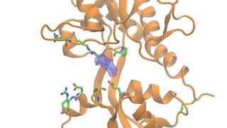 Glutamate binding its receptor [upl. by Demmer]