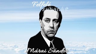 Felfelé zuhanás Mi volt Márai Sándor tragédiája Podpadhu [upl. by Riker303]