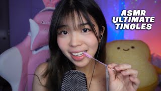 ASMR giving you ULTIMATE TINGLES you NEED [upl. by Arreit838]