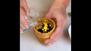 Indoor plant care hacks for plant lovers 🌿 shorts planting garden diy indoor [upl. by Nyledaj]