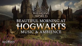 Beautiful Morning at Hogwarts  Harry Potter Music amp Ambience Reading with Hermione Granger [upl. by Francis77]