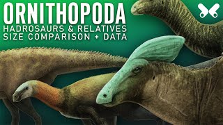 ORNITHOPODA Hadrosaurs and relatives Dinosaur size comparison Paleoart [upl. by Jemmie589]