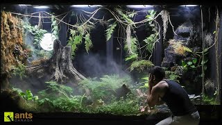 My Baby Crocodile is Hunting Land Creatures in My Giant Rainforest Vivarium [upl. by Lorrin]