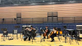 Mustang String QuartetMain Theme from “Amore Mio Auitami” [upl. by Emse]