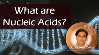 What are Nucleic acids  Dr Rakesh Yadav nucleicacids nucleicacid [upl. by Valina]