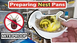 How to Prepare Canary Nest Pans  Mite Proof amp Using Carbolic Soap [upl. by Yhtimit717]