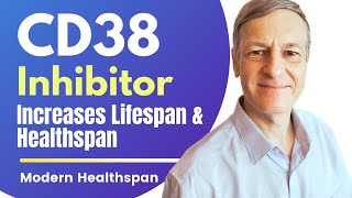 CD38 Inhibitor Increases Lifespan amp Healthspan  Review By Modern Healthspan [upl. by Orvie]