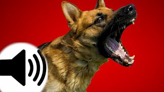 Dogs Barking Sound Effect [upl. by Lasiaf768]