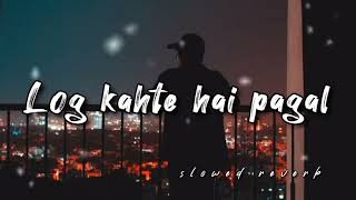 Log kahte hai pagal lofi music new lofi song  lofimusic viral slowedandreverb [upl. by Edris949]