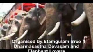 Elamgulam Gajamela Gajaraja Sangamam 07 Kerala Elephants [upl. by Alyk]