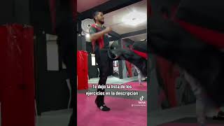 Circuito para mayor rendimiento en PELEA  kickboxing limalama artesmarciales karate [upl. by Madi457]