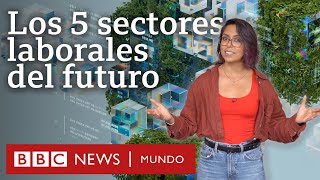 5 sectores laborales que tendrán una elevada demanda en el futuro según el Foro Económico Mundial [upl. by Avlasor]