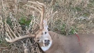 2023 Opening day of KY rifle Big Buck Down Kentucky Deer Hunting [upl. by Norm]