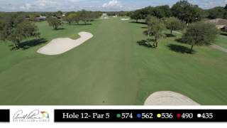 Bay Hill Hole 12 Flyover [upl. by Naihs]