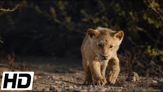 The Lion King 2019 HD  Simba is chased out of the pride lands by Hyenas [upl. by Akfir]