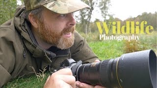 Testing the Nikon Z6 amp Nikon 300mm f4 PF  WILDLIFE PHOTOGRAPHY [upl. by Anauqed]