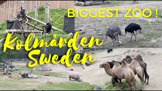 Biggest Zoo  Kolmården Sweden  Wildlife park 2023 [upl. by Yromem]