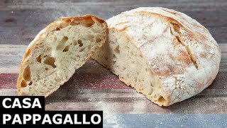 Come Fare Il Pane Senza Impasto [upl. by Libby]