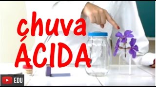 Experimentos de Química  Chuva ácida [upl. by Sinclare291]