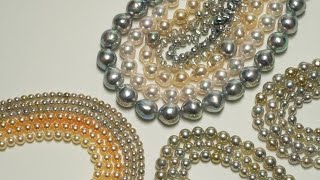 Exotic Naturalcolor Akoya Pearl Livestream [upl. by Siriso950]