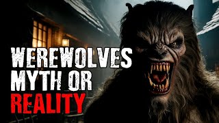 What I Learned from 10 Werewolf Encounters Will Shock You [upl. by Jarrid]