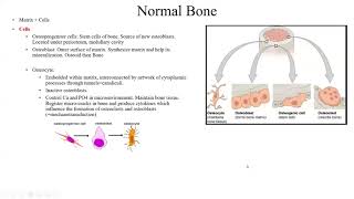 Pathology Made EasySystemic Pathology 7 Bone and Joint Diseases and STTs1 [upl. by Delos]