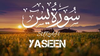 Most beautiful recitation of surah Yaseen Yasin سورۃ یس With Urdu translation [upl. by Fara272]