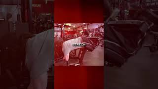 Sam Suleks Leg Workout shorts samsulek fitness legs legday gym workout legworkout sulek [upl. by Anaitit4]