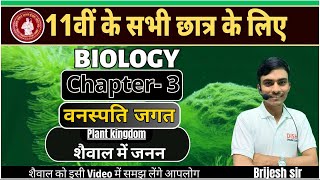 11th Biology शैवाल Algae Algae ke prkar  Algae in hindi biology Plant KingdomHindi Medium [upl. by Scrope]