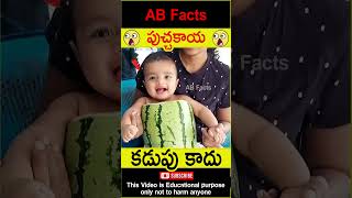 😲పుచ్చకాయ😲 Watermelon art on mothers womb telugufacts baby facts shorts youtubeshorts abfacts [upl. by Lainey]