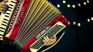 Introduction to the Accordion  Accordion Lessons [upl. by Eeryk243]