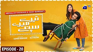 Tere Mere Sapnay Episode 20  Eng Sub  Shahzad Sheikh  Sabeena Farooq  29th March 2024 [upl. by Hahsi]