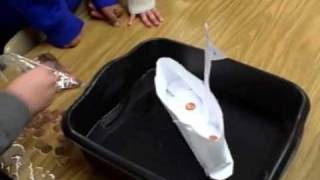 Paper Boats Science Experiment [upl. by Ynnij]