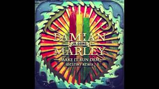 Skrillex Ft Damian Marley  Make It Bun Dem IDestiny Remix [upl. by Gnanmas]