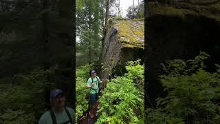 Glaciation is the process of being covered by glaciers history geology outdoors explore vlog [upl. by Forrest644]