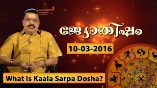 What is kala sarpa dosha  dosham   JYOTHISHAM 10 03 2016  Kaumudy TV [upl. by Ddene69]